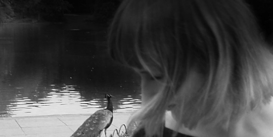 Lady With a Peacock 1