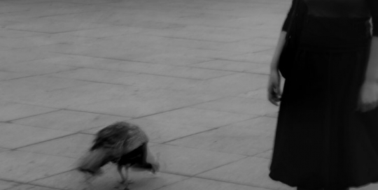 Fotography B&W People - Lady With a Peacock 2